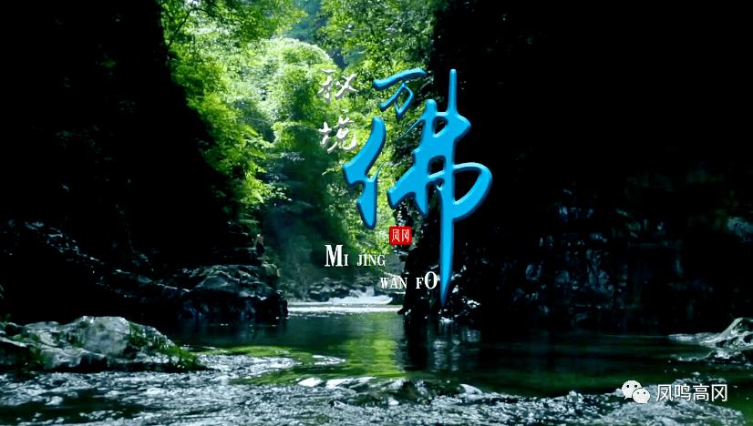 谢娜惊艳亮相!透明薄纱裙配皮衣大秀好身材
